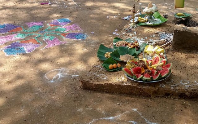 තෛපොංගල් උත්සවය 2019